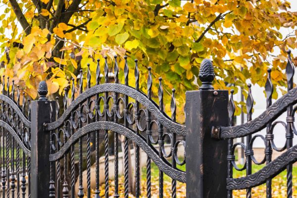 Cost of Wrought Iron Fence Washing in Goodyear