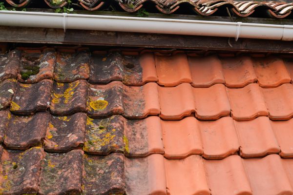 Industrial Roof Cleaning in Goodyear
